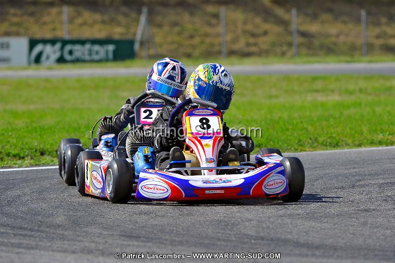 DSC_ (695).jpg